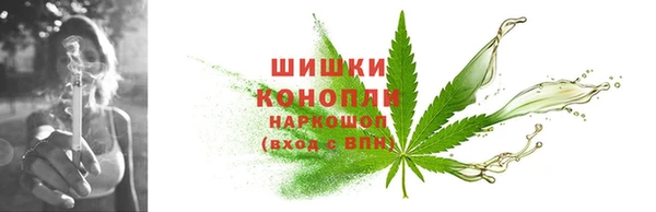 не бодяженный Михайлов