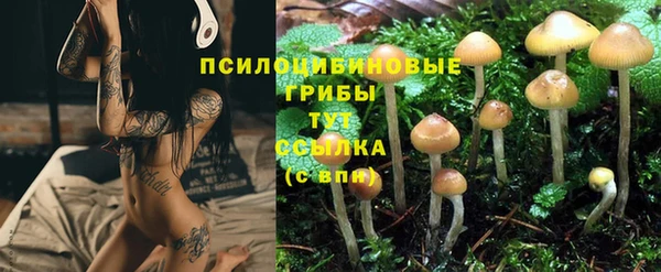 не бодяженный Михайлов