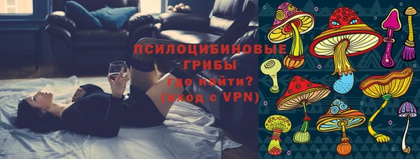 гашик Надым