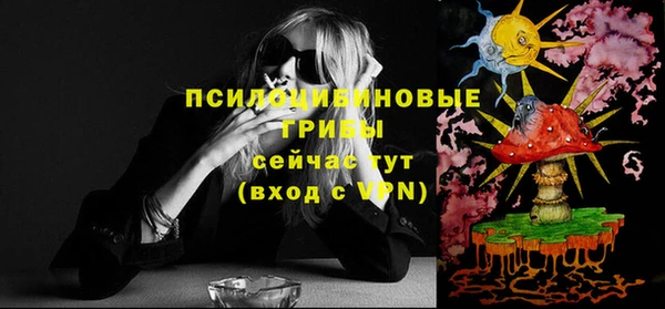 не бодяженный Михайлов