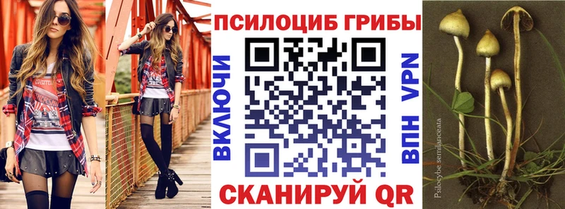 Псилоцибиновые грибы MAGIC MUSHROOMS  Томск 