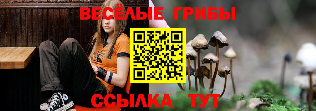 Галлюциногенные грибы мицелий Томск